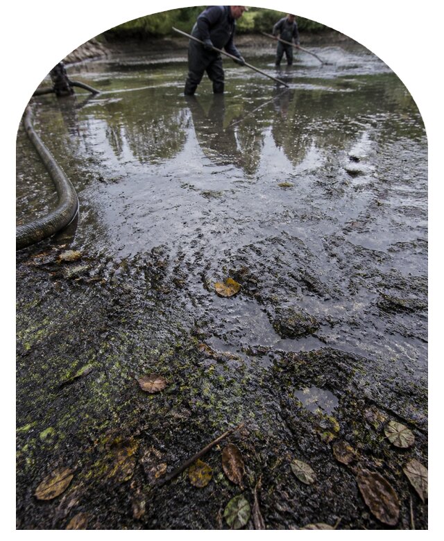 Очистка пруда в Печоре от ила мусора и водорослей с вывозом